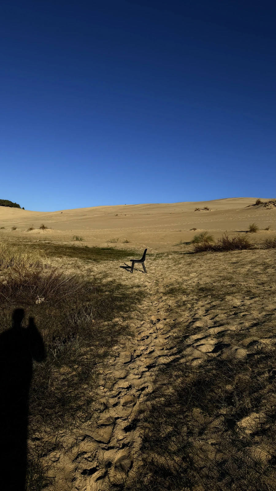 Le paysage des dunes